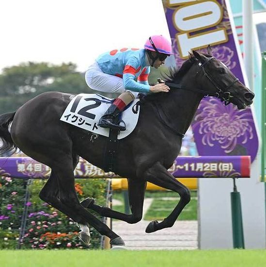 イクイノックス　新聞記事 イクイノックス全妹 衝撃デビュー - Yahoo!ニュース