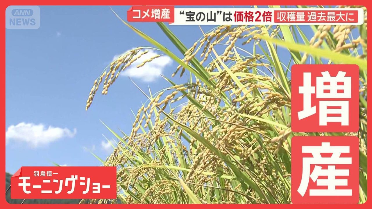 コメ収穫量増 なぜ価格は高止まり - Yahoo!ニュース