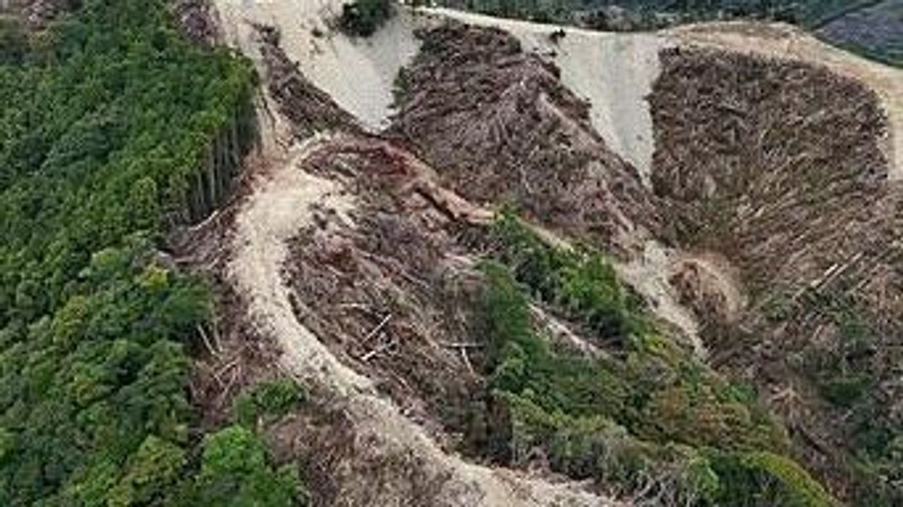 鴨川のメガソーラー 工事一時停止 - Yahoo!ニュース