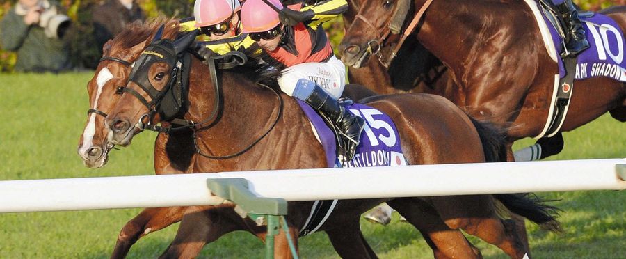 3冠牝馬ジェンティルドンナ 急死 - Yahoo!ニュース