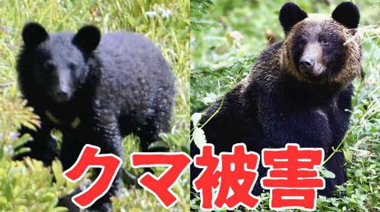 猟友会 警官による緊急銃猟に疑問