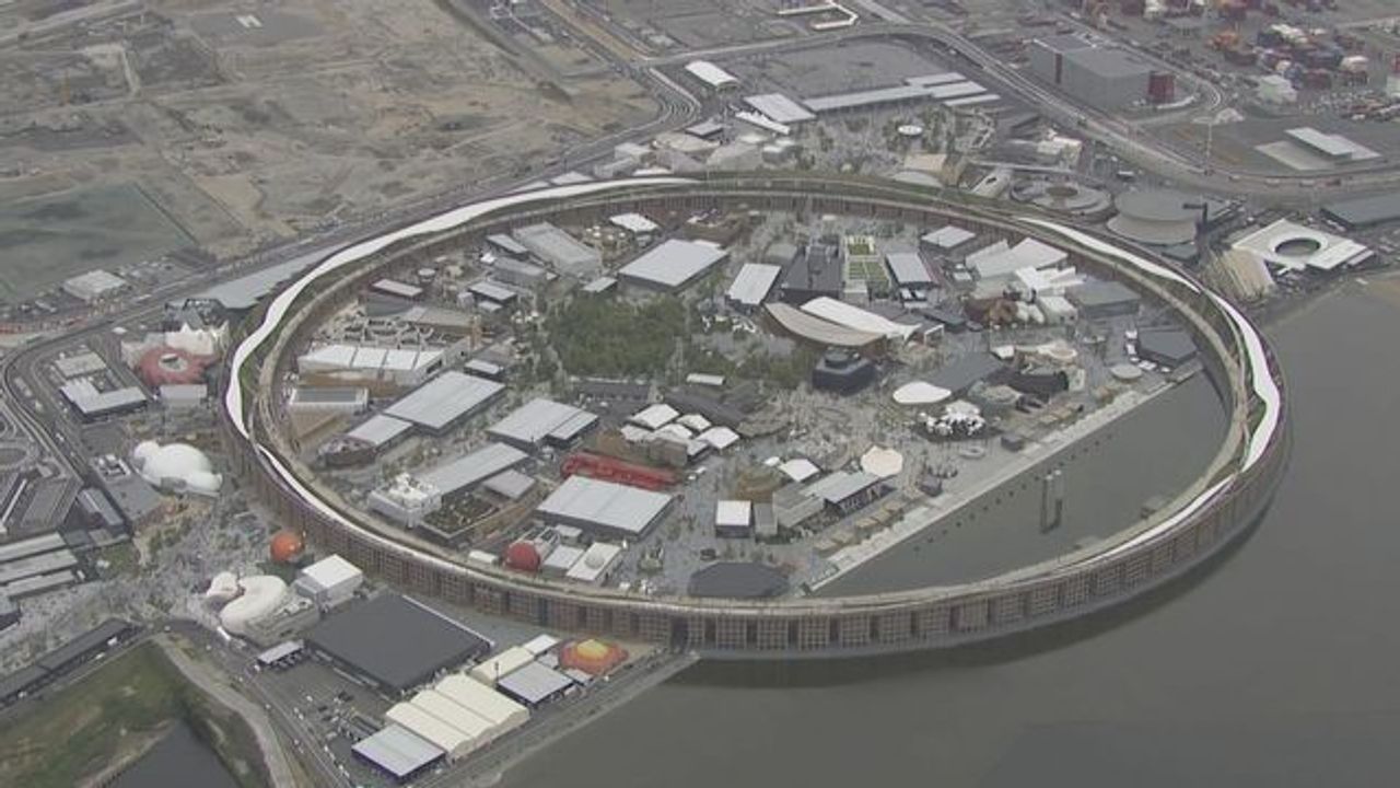 万博で虫が大量発生 殺虫剤で対策 - Yahoo!ニュース