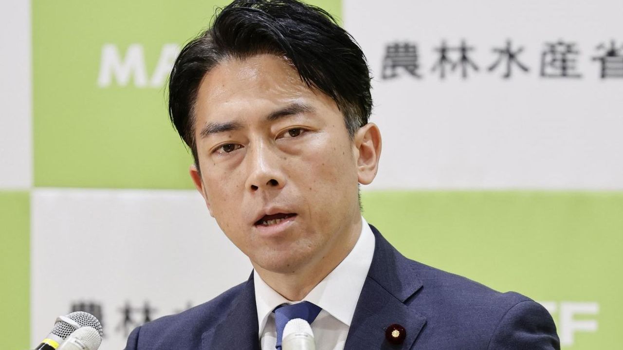 小泉農相 備蓄米放出「無制限に」 - Yahoo!ニュース