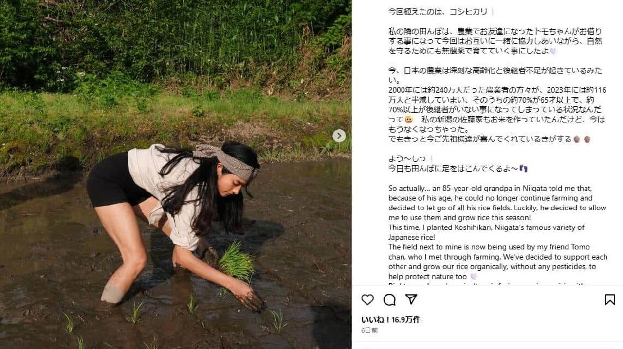 はだしで田植えに賛否 農水省回答 - Yahoo!ニュース