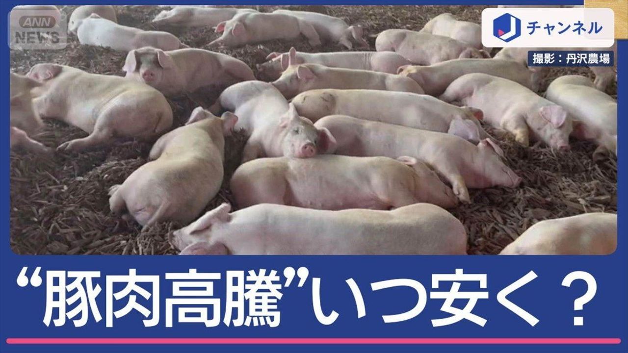 とんかつ店悲鳴 国産が史上最高値 - Yahoo!ニュース