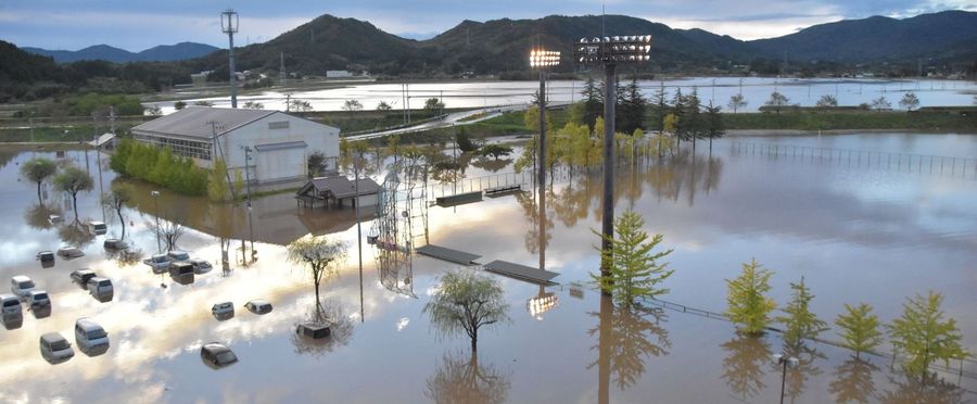 水害は人災だ: 森は死んでいる 水害は人災だ: 森は死んでいる 水害は人災だ: 森は死んでいる