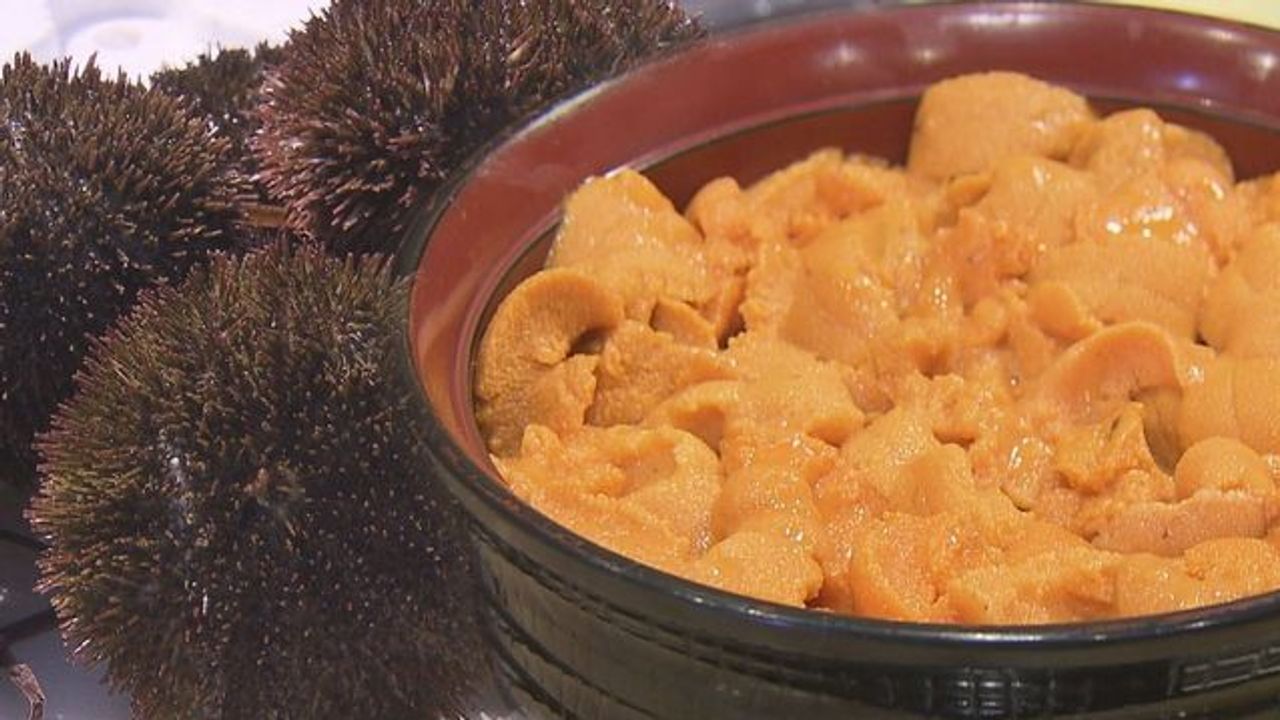 エゾバフンウニ不漁 丼が2万円超
