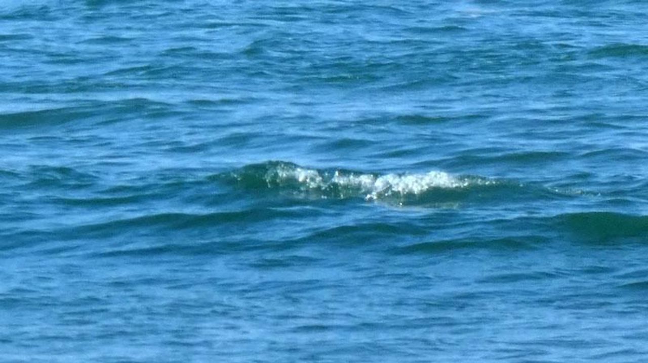 シュノーケル中に溺れ 高校生死亡 - Yahoo!ニュース