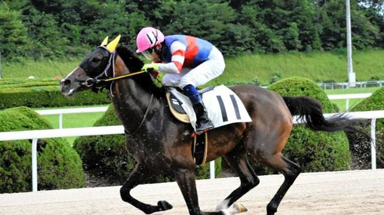 121連敗馬に感情移入 ファン切実