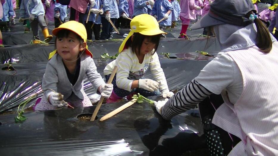 [写真]大人と一緒に奮闘