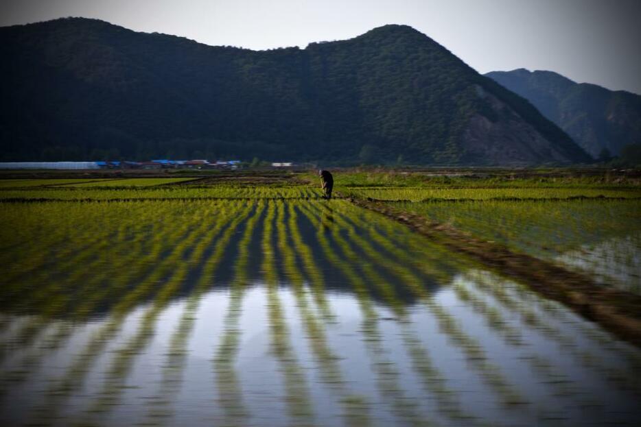 16 図門市近郊　北朝鮮国境近く