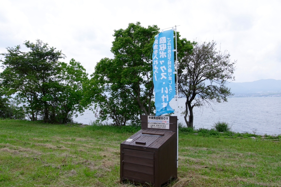 琵琶湖の周囲には、ところどころに「外来魚回収BOX」がある