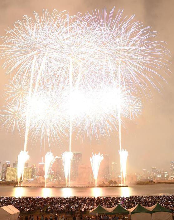 夜空を焦がす花火