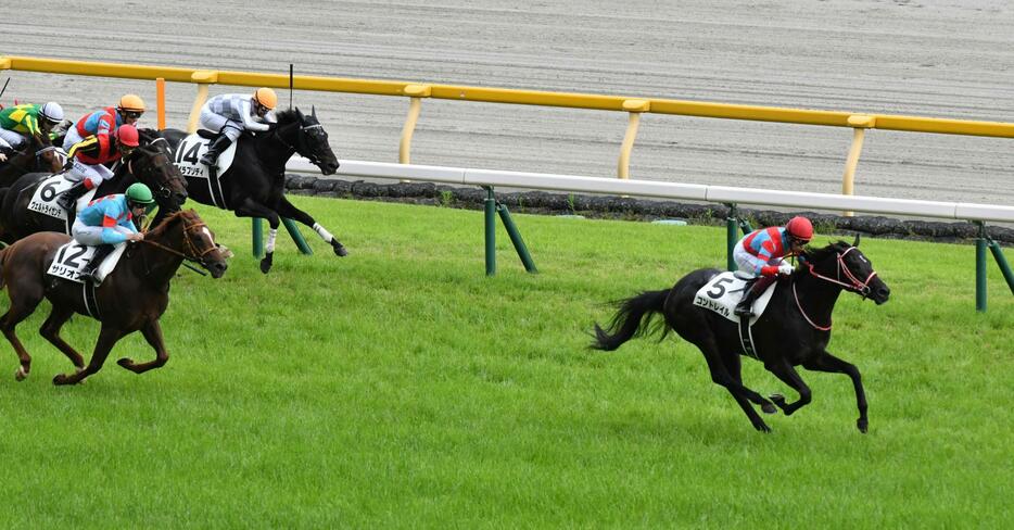 コントレイルは3馬身差の圧勝劇でダービーを制し父のディープインパクト以来、史上7頭目の無敗2冠馬となった(写真・日刊スポーツ／アフロ）