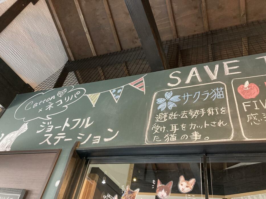 保護猫を飼育しているステーション。店舗内に仕切りが設けられており、これまでに里親が見つかった猫らの写真なども貼られている。2020年6月10日（撮影:村松まどか）