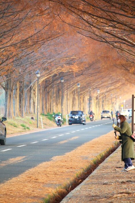 真っ赤なトンネルは滋賀の名物の一つだ