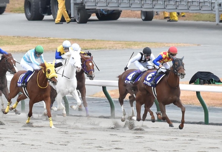 芝から初のダートへ。G1チャンピオンCで二刀流に挑戦した“白馬のヒロイン”ソダシ（左から2頭目）だったが12着と惨敗した（写真・東京スポーツ/アフロ）