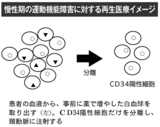 慢性期の運動機能障害に対する再生医療イメージ