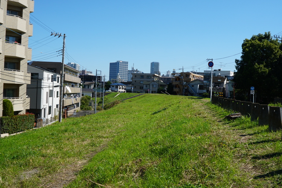 平瀬川沿いに広がる土手状の土地（撮影：小川匡則）