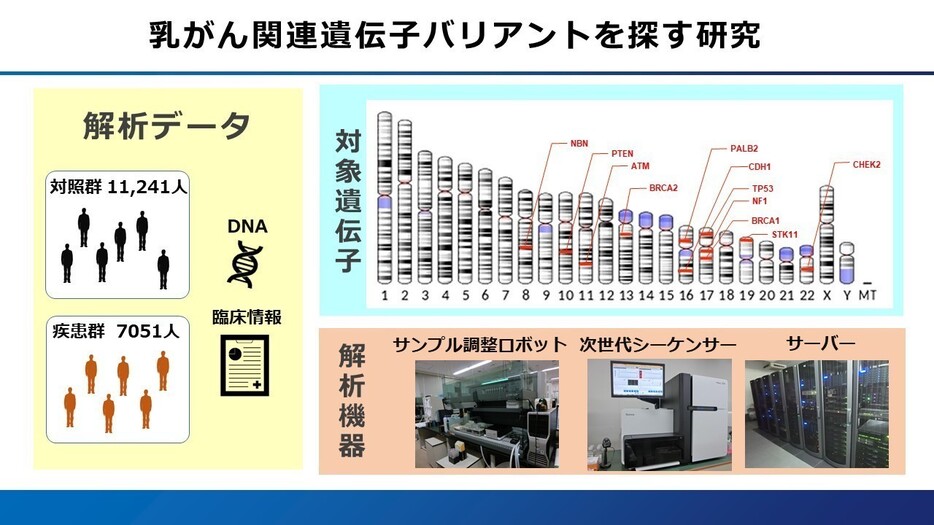 [図表]乳がん関連遺伝子バリアントを探す研究