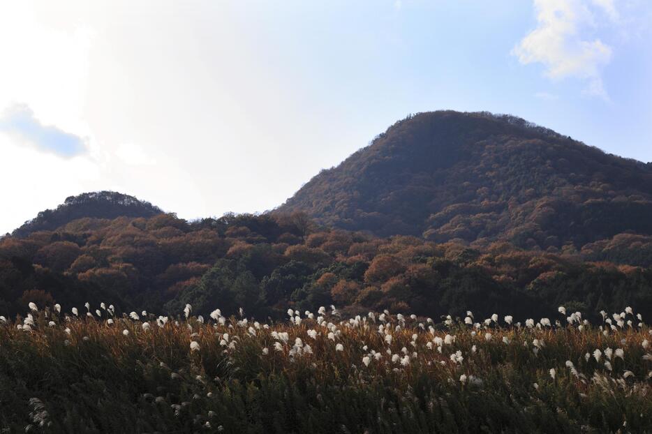 大伯皇女が万葉集の中で詠んだ二上山（写真：GYRO PHOTOGRAPHY/アフロ）