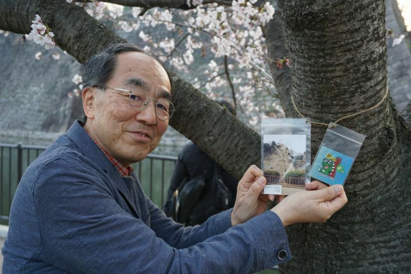 ［写真］植樹された桜には、ラジメニアンが枝に目印をぶら下げている