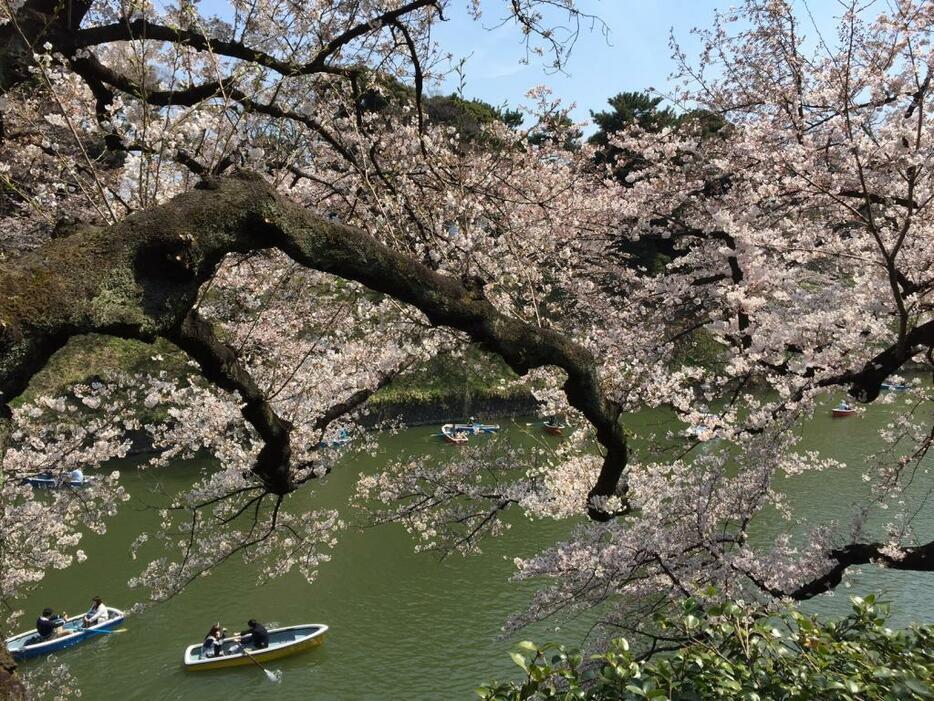 [写真]この日の都内の気温は午後1時に20度を超える陽気