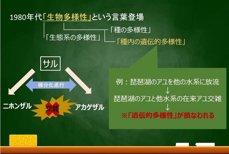 生物多様性という考え方の登場で「種内の遺伝的多様性」が重視されるようになった（写真：アフロから作成）