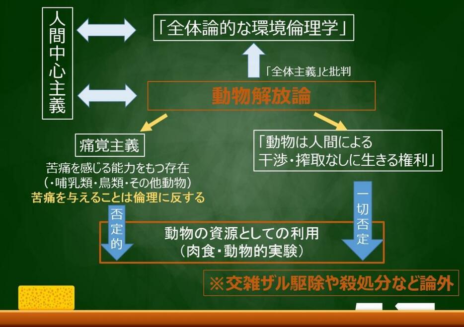 「動物解放論」の考えでは、動物の苦痛や生きる権利を主張。交雑ザルの駆除や殺処分に対する考え方も異なってくる（写真：アフロから作成）