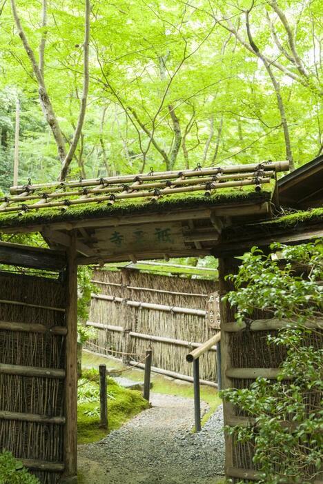 祇王寺（写真：ペイレスイメージズ/アフロ）