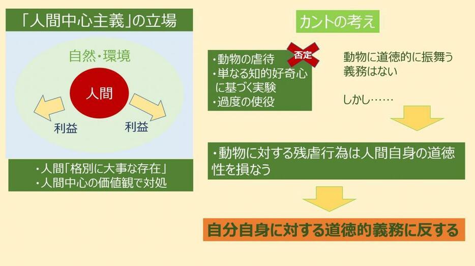 カントは動物虐待を人間自身の道徳性を損なうという「人間中心主義」の視点から批判しています