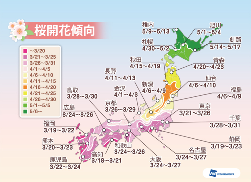 [図]2015年桜開花傾向（提供：ウェザーニューズ）