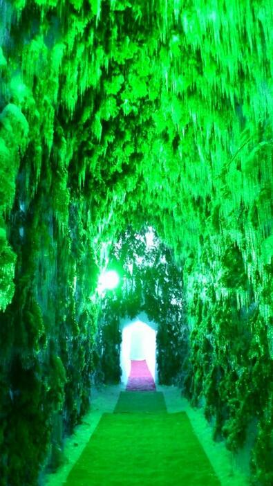 [写真]千歳市に実際にある観光地「苔の洞門」を模してつくられた氷像「苔の洞門2015」