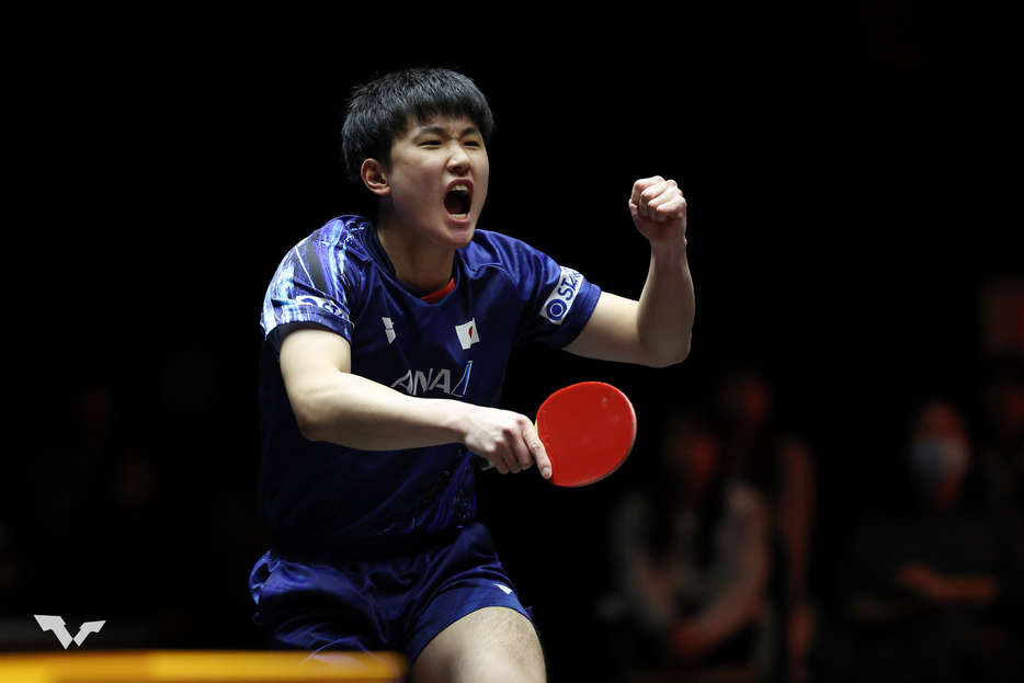 張本智和 PHOTO：World Table Tennis