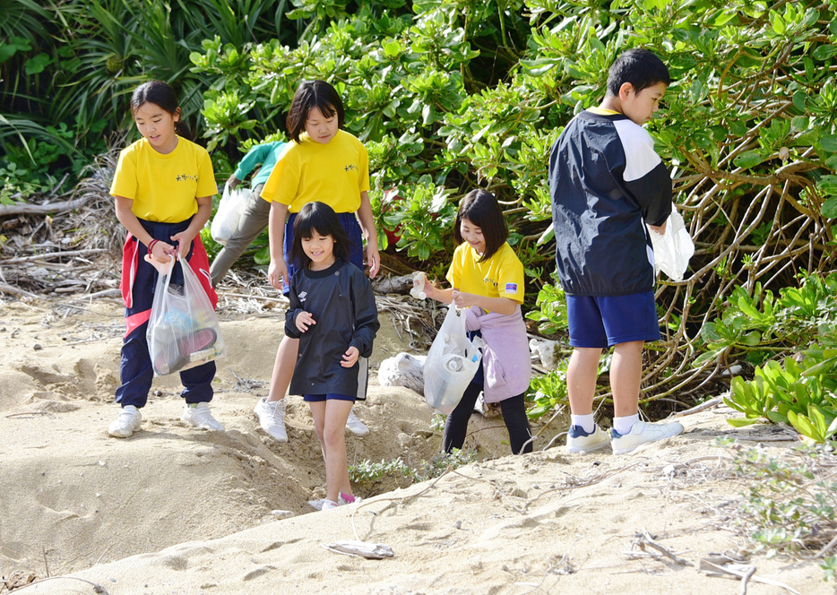 元旦初泳ぎに向けて海岸のごみを拾う大勝スイミングスポーツ少年団の児童ら＝2024年12月29日、鹿児島県龍郷町