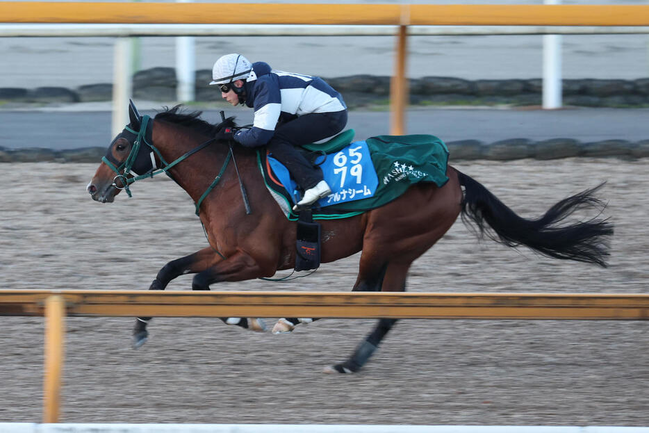 藤岡騎手が騎乗し、Cウッド単走で時計を出したアルナシーム