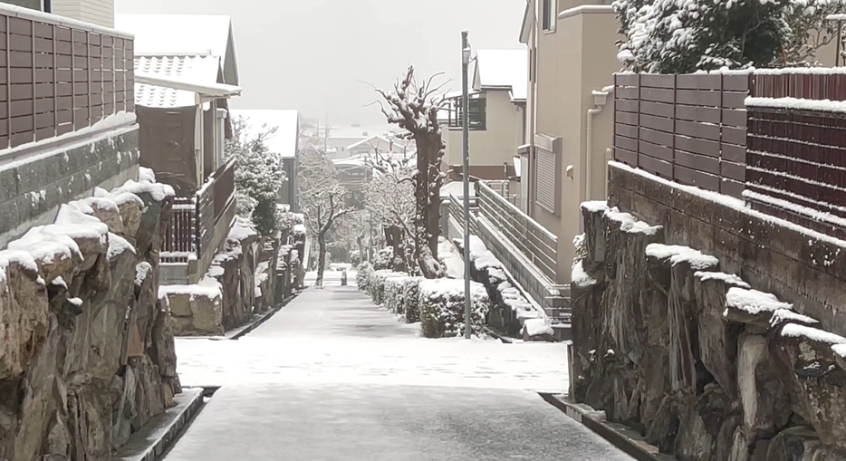 雪が積もった兵庫県内