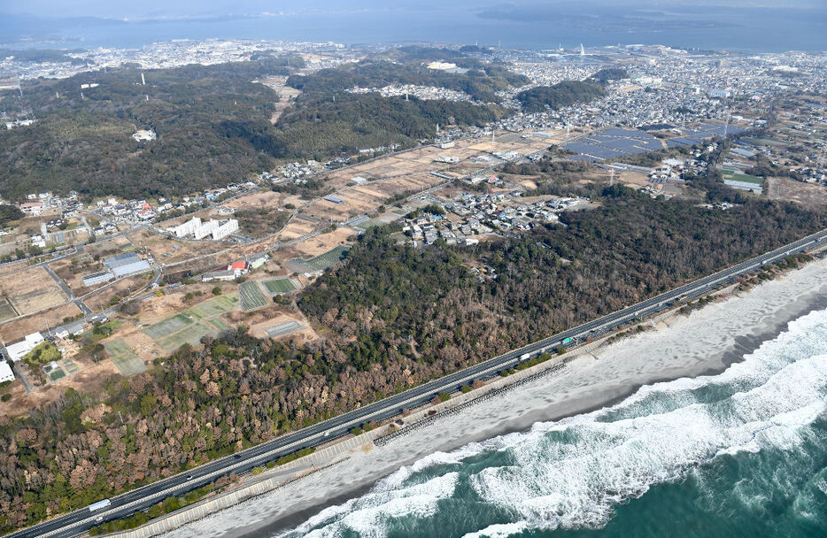 松枯れが拡大する遠州灘海岸沿いの防災林＝7日、湖西市新居町浜名（静岡新聞社ヘリ「ジェリコ1号」から）