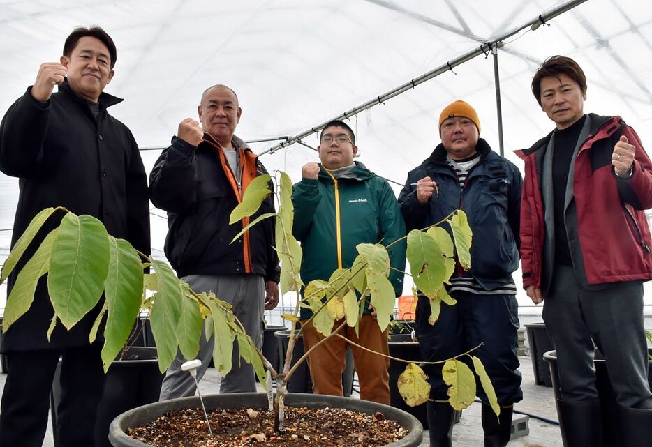 熱帯果物の栽培に挑む小野代表取締役（左から2人目）ら関係者