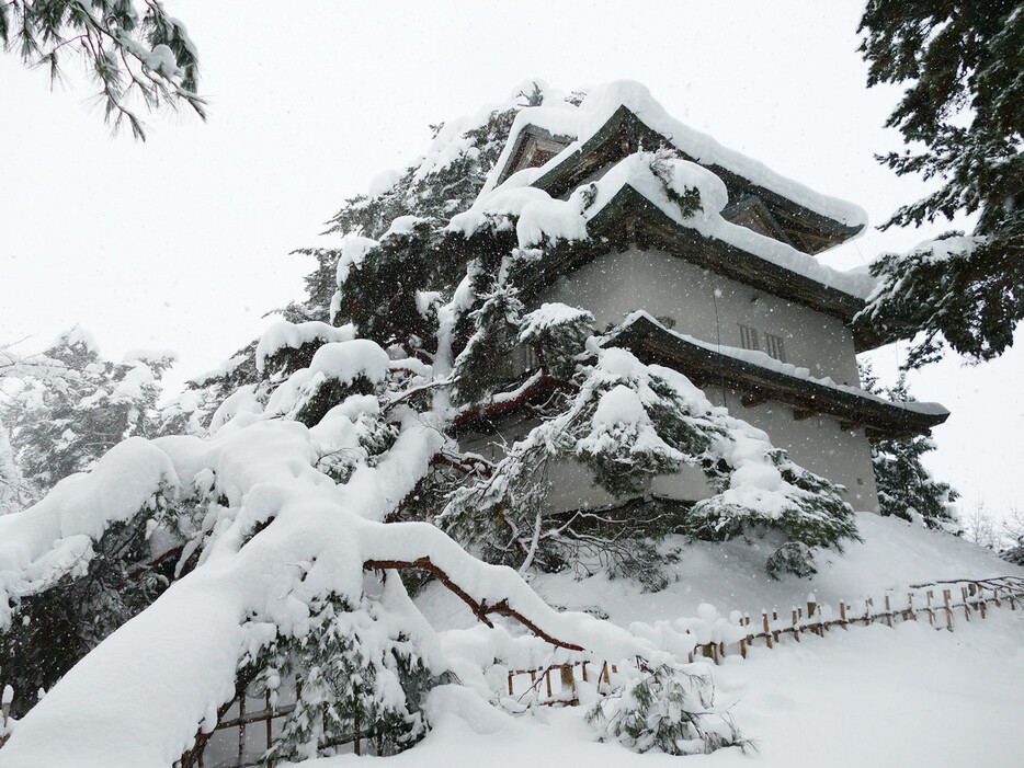 雪の重みで倒れた松で一部が破損した国指定重要文化財「二の丸未申櫓（やぐら）」＝４日、青森県弘前市（弘前市提供）