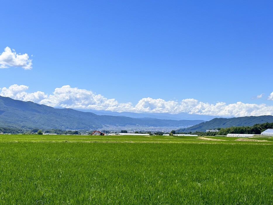 田園風景が広がる原村