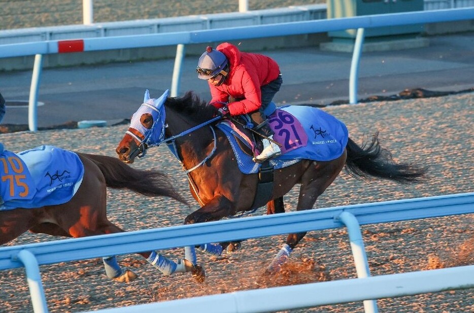 2勝馬ながら戦前の評価は前走同様高くないミーントゥビー