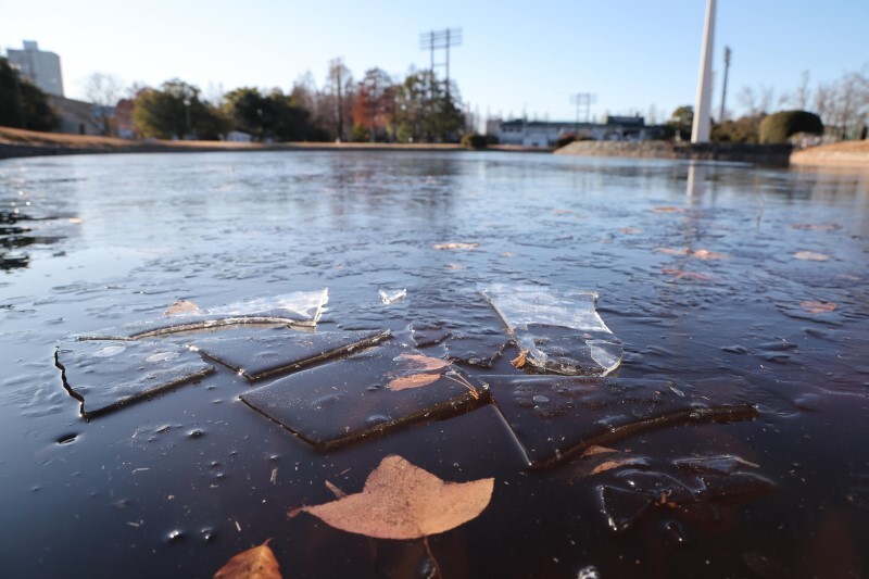 氷が張った池＝10日午前8時57分、県総合グラウンド