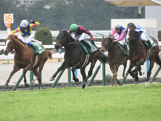 昨年の京都金杯はコレペティトールが優勝(c)netkeiba