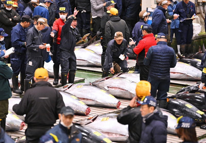 豊洲市場で開かれたマグロの初競りに参加する仲買人ら＝東京都江東区で2025年1月5日午前5時12分、前田梨里子撮影