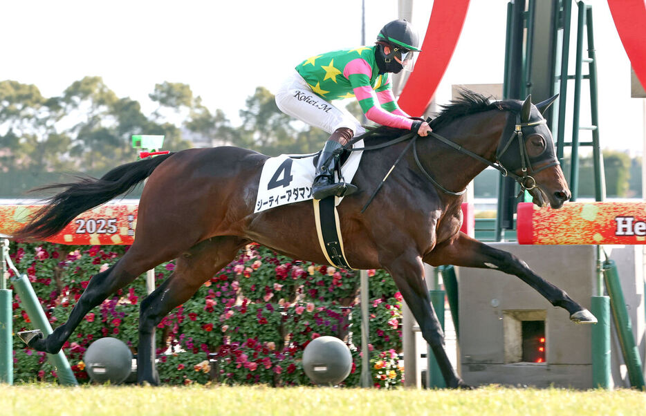 松山弘平騎手騎乗のジーティーアダマンが逃げ切り勝ち。　（カメラ・高橋　由二）