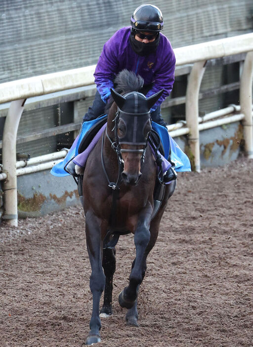 馬トク激走馬に算出されたリカンカブール