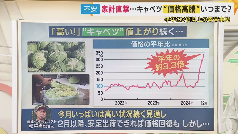 キャベツの価格の平年比は、およそ3.3倍に跳ね上がっている