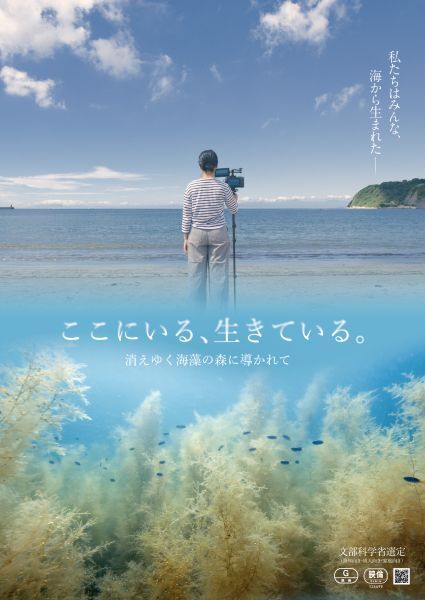 日本の海からコンブが消える？身近な海に何が起きている？　自然と人の関係を問いかける海藻ドキュメンタリー映画