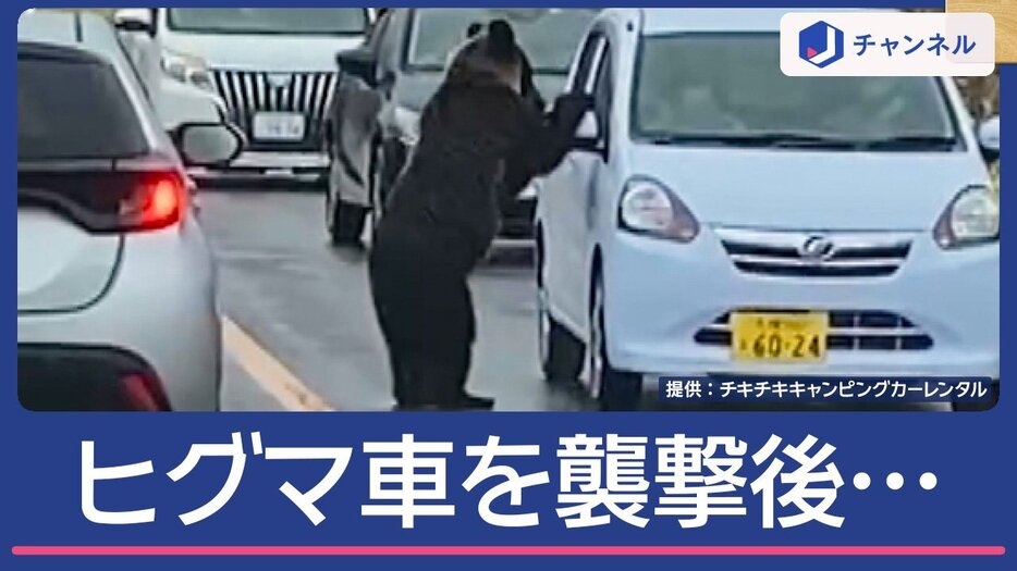 ヒグマ目前で車を襲ったあと…こっち向いた！「来たぞ来たぞ」「怖い怖い怖い」